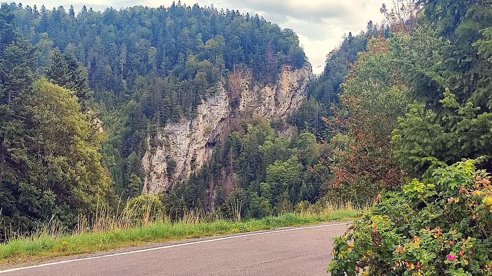 Route bordée de falaises et de forêts
